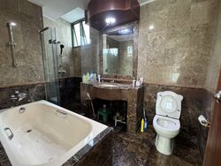 Signature Park (D21), Condominium #455168981